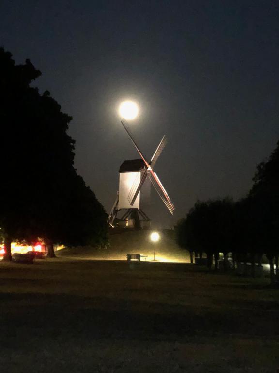Feesten 2018 (42)